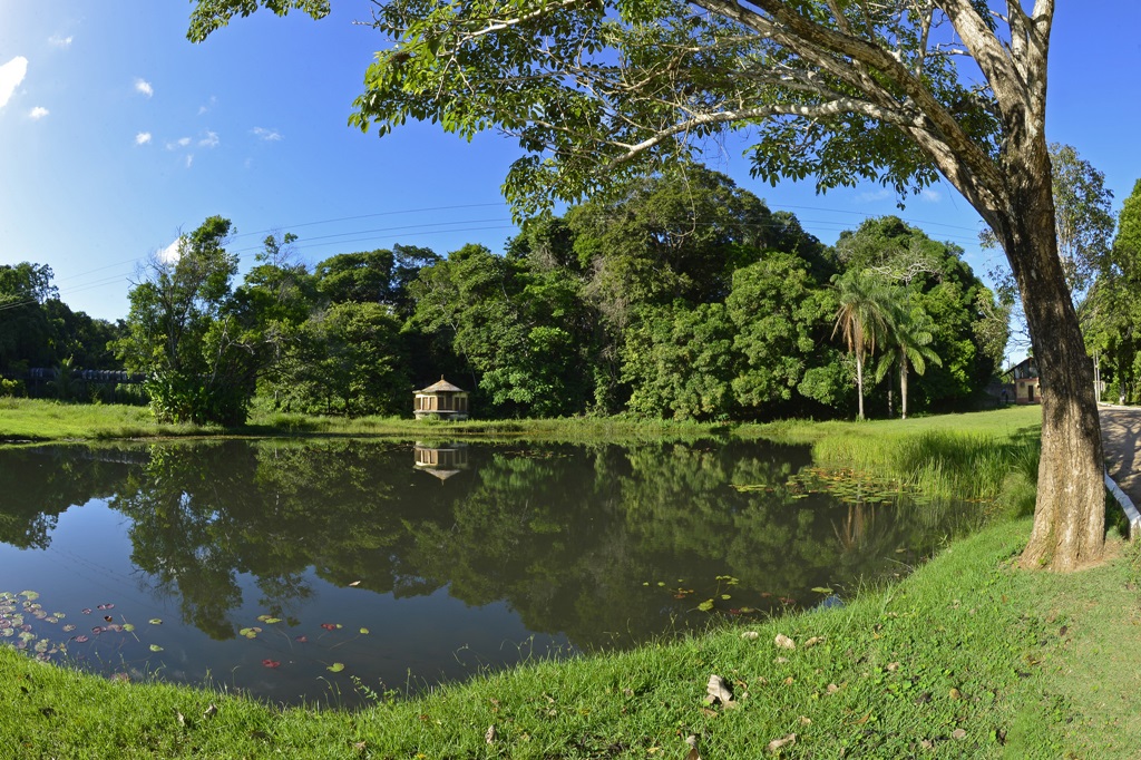 Parque Jardim do Norte