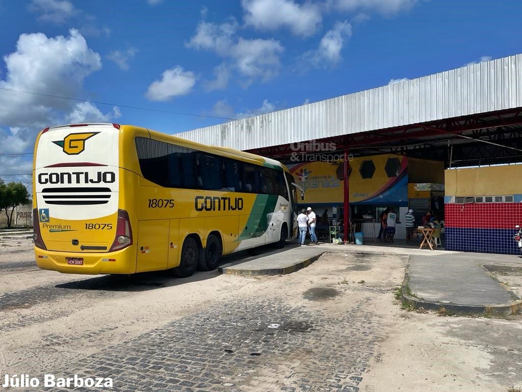 Gontijo