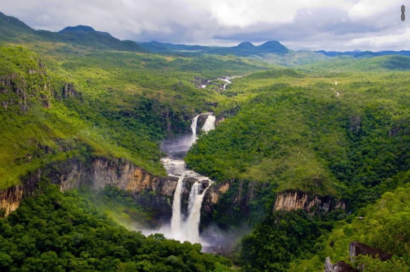 Parque Pau Brasil