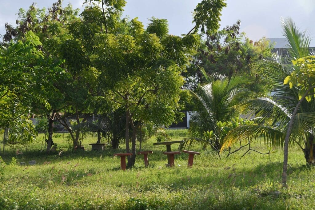 Ecobosque