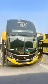 Real Bus